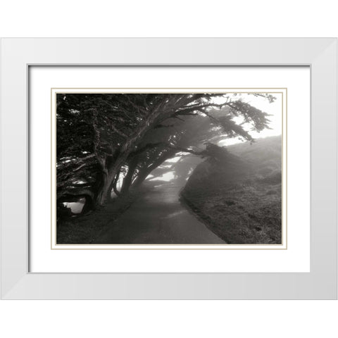 Point Reyes I White Modern Wood Framed Art Print with Double Matting by Johnson, George