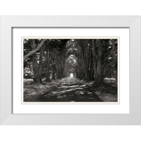 Point Reyes II White Modern Wood Framed Art Print with Double Matting by Johnson, George