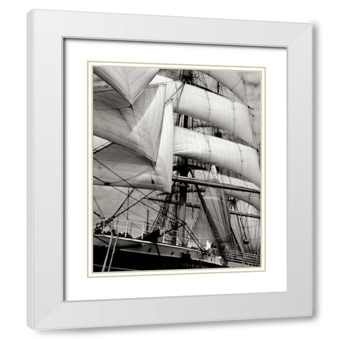 Star of India II White Modern Wood Framed Art Print with Double Matting by Johnson, George