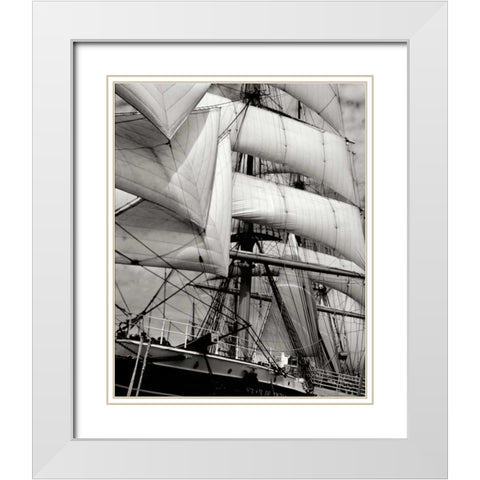 Star of India II White Modern Wood Framed Art Print with Double Matting by Johnson, George