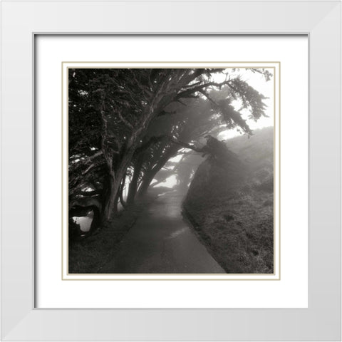 Point Reyes III White Modern Wood Framed Art Print with Double Matting by Johnson, George