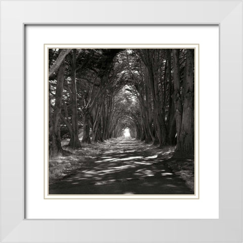 Point Reyes IV White Modern Wood Framed Art Print with Double Matting by Johnson, George