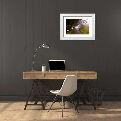 Foggy Path White Modern Wood Framed Art Print with Double Matting by Johnson, George