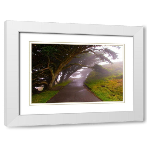 Foggy Path White Modern Wood Framed Art Print with Double Matting by Johnson, George