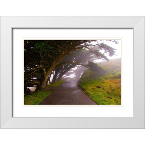 Foggy Path White Modern Wood Framed Art Print with Double Matting by Johnson, George
