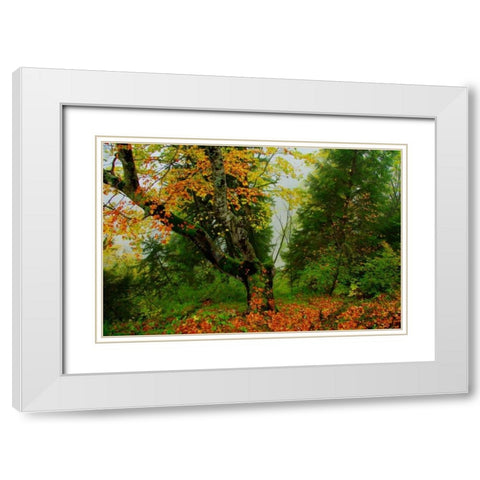 Schloss Hohenschwangau II White Modern Wood Framed Art Print with Double Matting by Johnson, George