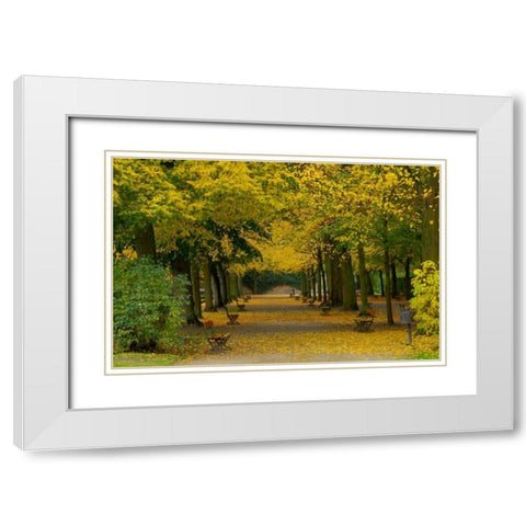 Wurzburg I White Modern Wood Framed Art Print with Double Matting by Johnson, George