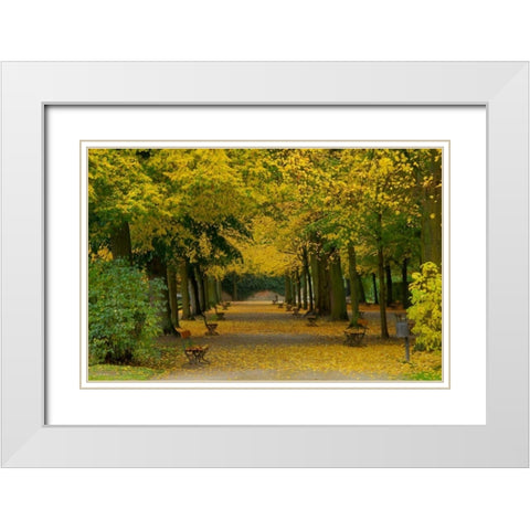 Wurzburg I White Modern Wood Framed Art Print with Double Matting by Johnson, George