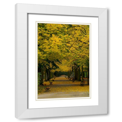 Wurzburg III White Modern Wood Framed Art Print with Double Matting by Johnson, George
