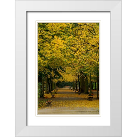 Wurzburg III White Modern Wood Framed Art Print with Double Matting by Johnson, George
