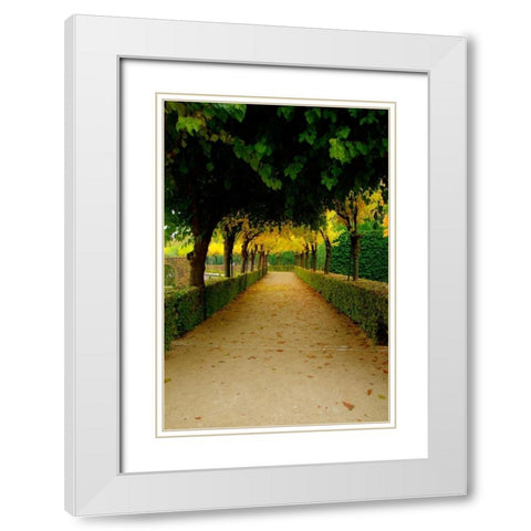 Wurzburg VI White Modern Wood Framed Art Print with Double Matting by Johnson, George