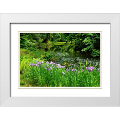 Bloedel Reserve I White Modern Wood Framed Art Print with Double Matting by Johnson, George