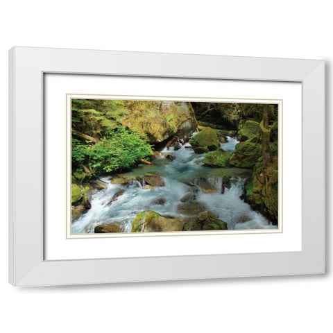 North Cascades NP I White Modern Wood Framed Art Print with Double Matting by Johnson, George