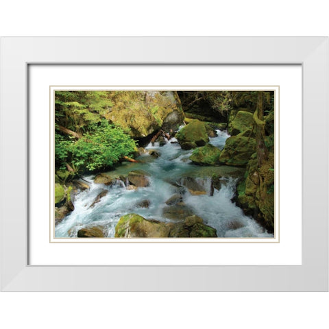 North Cascades NP I White Modern Wood Framed Art Print with Double Matting by Johnson, George