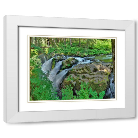 Port Angeles Falls I White Modern Wood Framed Art Print with Double Matting by Johnson, George