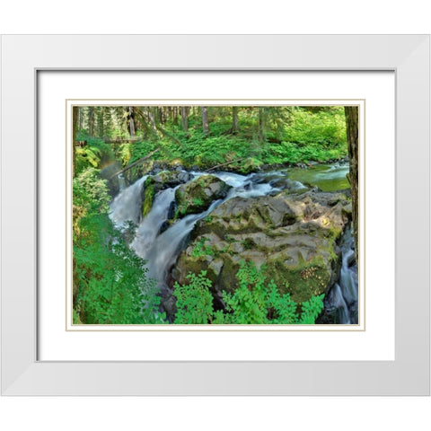 Port Angeles Falls I White Modern Wood Framed Art Print with Double Matting by Johnson, George