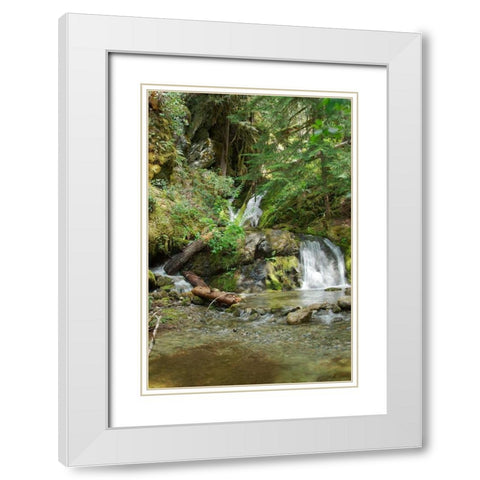 North Cascades NP II White Modern Wood Framed Art Print with Double Matting by Johnson, George