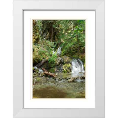 North Cascades NP II White Modern Wood Framed Art Print with Double Matting by Johnson, George
