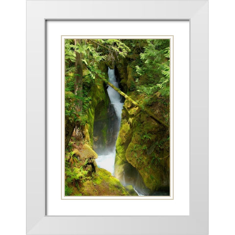 North Cascades NP III White Modern Wood Framed Art Print with Double Matting by Johnson, George