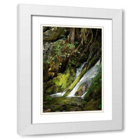 North Cascades NP IV White Modern Wood Framed Art Print with Double Matting by Johnson, George
