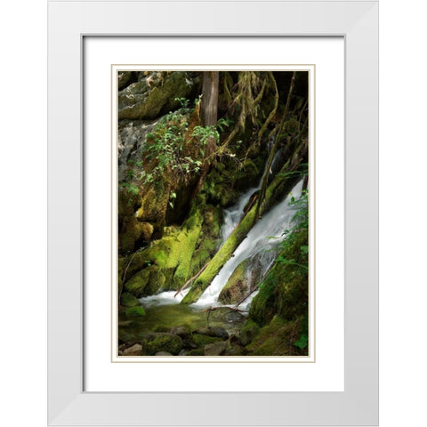 North Cascades NP IV White Modern Wood Framed Art Print with Double Matting by Johnson, George