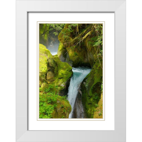 North Cascades NP V White Modern Wood Framed Art Print with Double Matting by Johnson, George