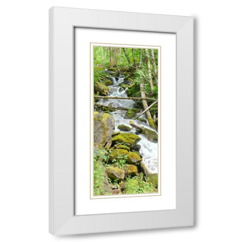North Cascades NP VI White Modern Wood Framed Art Print with Double Matting by Johnson, George