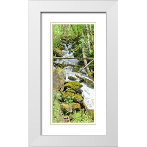North Cascades NP VI White Modern Wood Framed Art Print with Double Matting by Johnson, George
