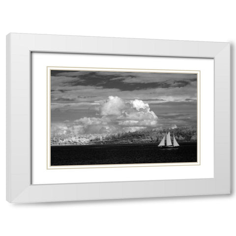 Port Townsend Sailboat I White Modern Wood Framed Art Print with Double Matting by Johnson, George