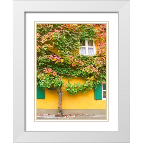 Augsburg Tree and Windows White Modern Wood Framed Art Print with Double Matting by Johnson, George