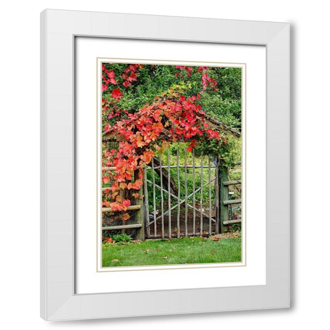 The Garden Gate White Modern Wood Framed Art Print with Double Matting by Johnson, George