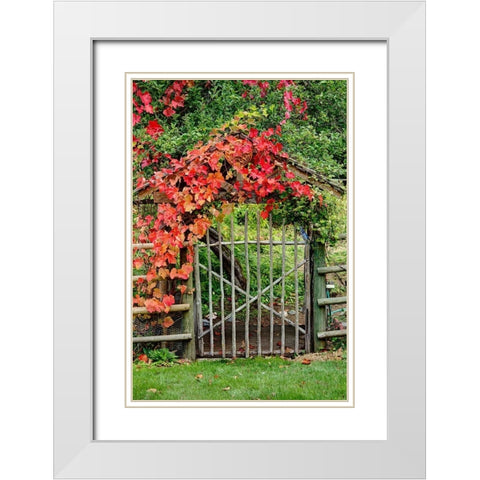 The Garden Gate White Modern Wood Framed Art Print with Double Matting by Johnson, George