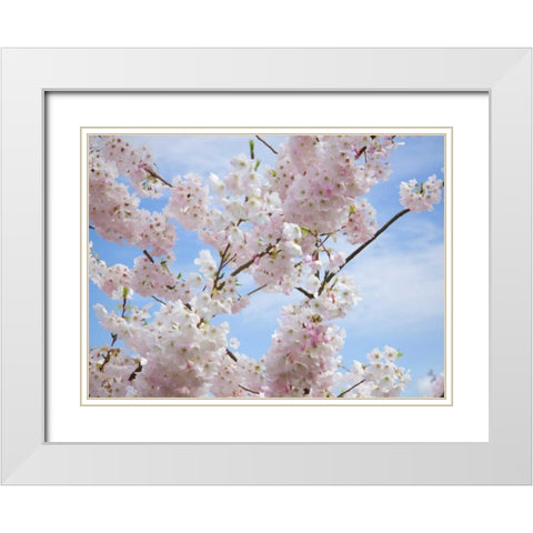 Spring Blossoms White Modern Wood Framed Art Print with Double Matting by Johnson, George