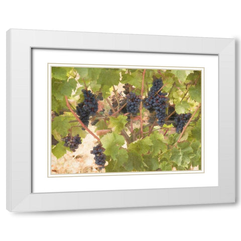 Low Hanging Fruit White Modern Wood Framed Art Print with Double Matting by Johnson, George