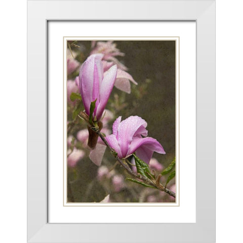 Pink Tulip Tree I White Modern Wood Framed Art Print with Double Matting by Johnson, George