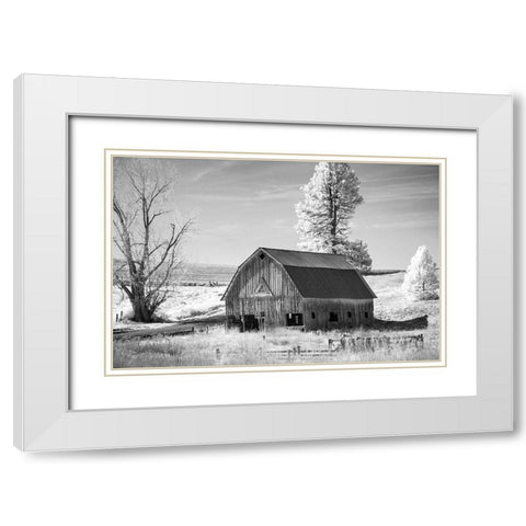 Palouse Barn White Modern Wood Framed Art Print with Double Matting by Johnson, George