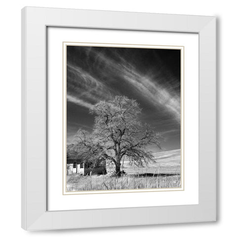 Palouse House and Tree White Modern Wood Framed Art Print with Double Matting by Johnson, George