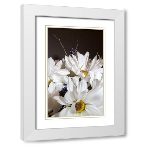 White Daisies White Modern Wood Framed Art Print with Double Matting by Johnson, George