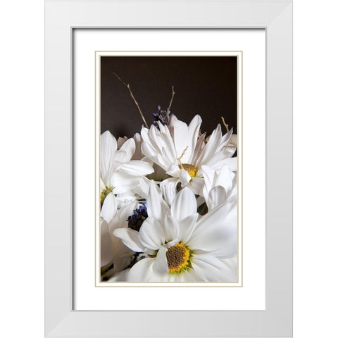 White Daisies White Modern Wood Framed Art Print with Double Matting by Johnson, George