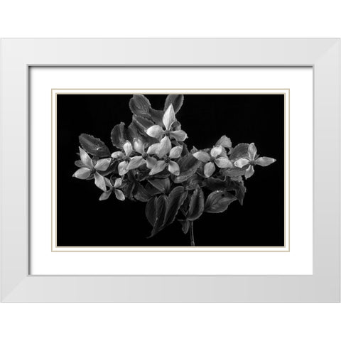 In From the Rain White Modern Wood Framed Art Print with Double Matting by Johnson, George