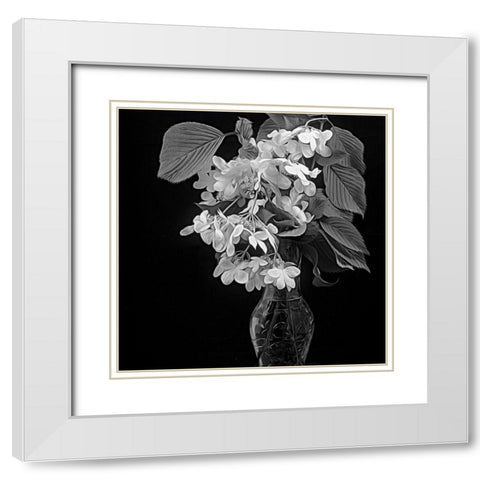 White Dogwood White Modern Wood Framed Art Print with Double Matting by Johnson, George