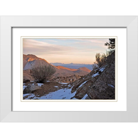 Desert I White Modern Wood Framed Art Print with Double Matting by Kidd, Brian