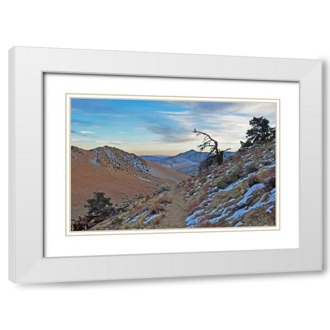 Desert II White Modern Wood Framed Art Print with Double Matting by Kidd, Brian