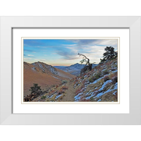 Desert II White Modern Wood Framed Art Print with Double Matting by Kidd, Brian