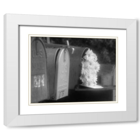 Special Delivery I White Modern Wood Framed Art Print with Double Matting by Larson, Scott