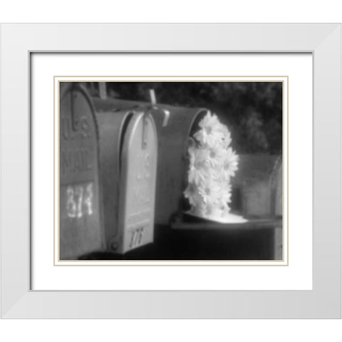 Special Delivery I White Modern Wood Framed Art Print with Double Matting by Larson, Scott