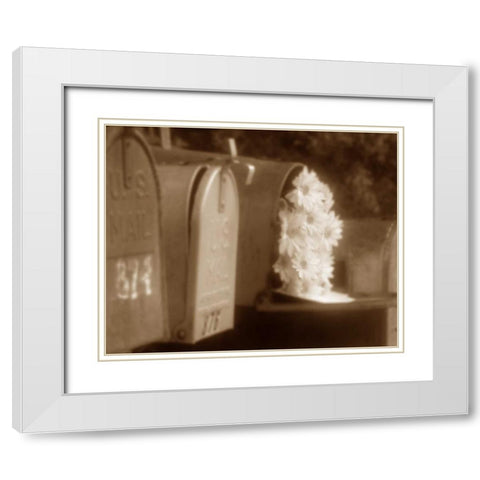 Special Delivery II White Modern Wood Framed Art Print with Double Matting by Larson, Scott