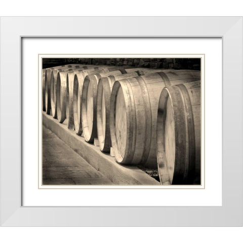 Winery II White Modern Wood Framed Art Print with Double Matting by Larson, Scott