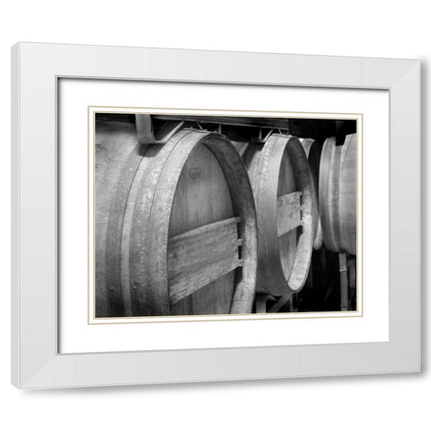 Winery IV White Modern Wood Framed Art Print with Double Matting by Larson, Scott
