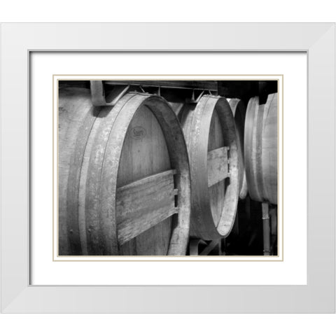 Winery IV White Modern Wood Framed Art Print with Double Matting by Larson, Scott